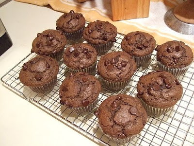 Chocolate Muffin Recipe