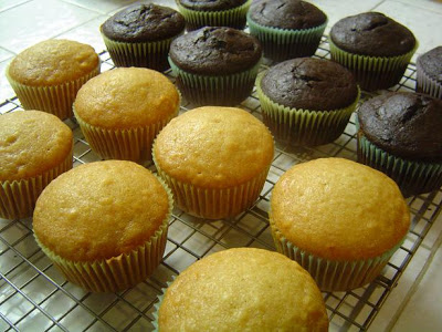 Easy Muffin Recipe