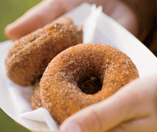 Fried Donuts : Pumpkin Donuts Recipe