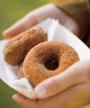 Fried Donuts : Pumpkin Donuts Recipe