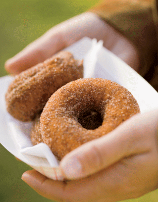 Fried Donuts : Pumpkin Donuts Recipe