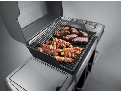 Weber Genesis Grill