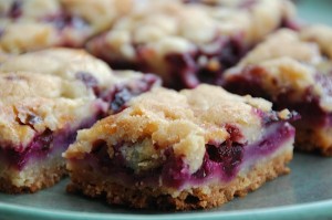 blueberry bars