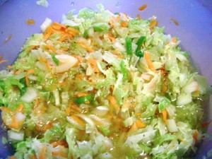 vinegar cole slaw