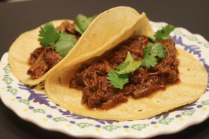 Shredded beef Barbacoa