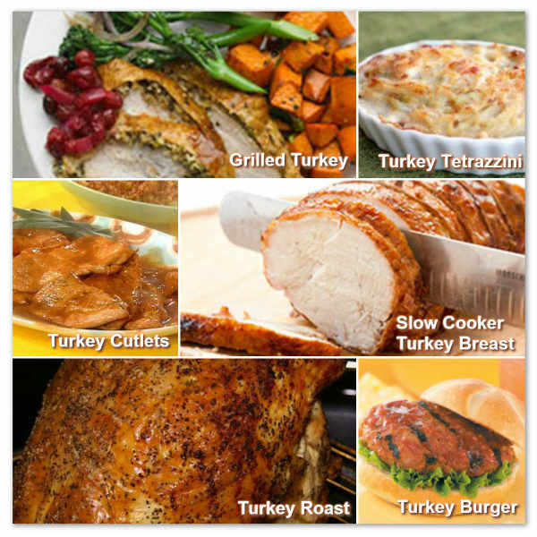 Easy Turkey Recipes For Thanksgiving